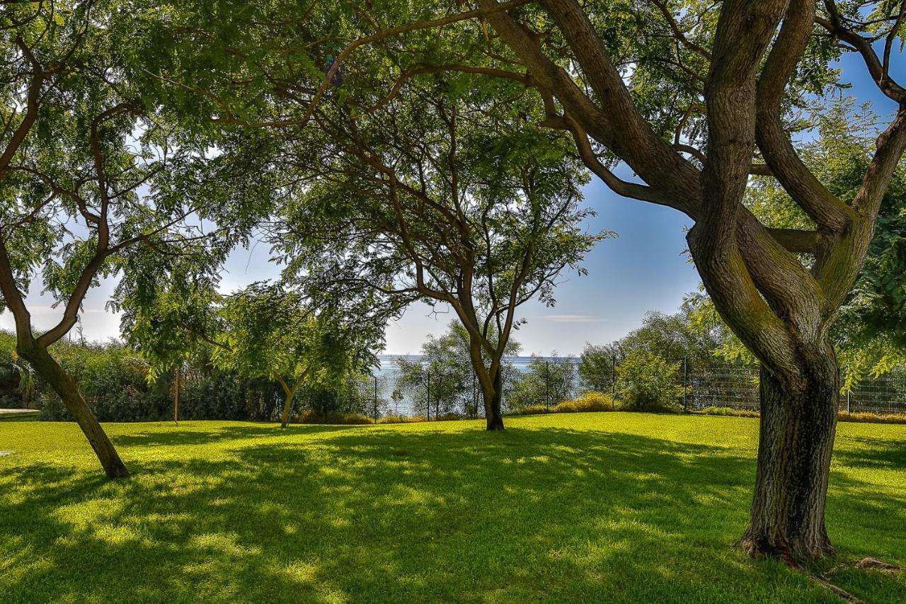 Jardines Las Golondrinas Apartments Elviria Μαρμπέλλα Εξωτερικό φωτογραφία